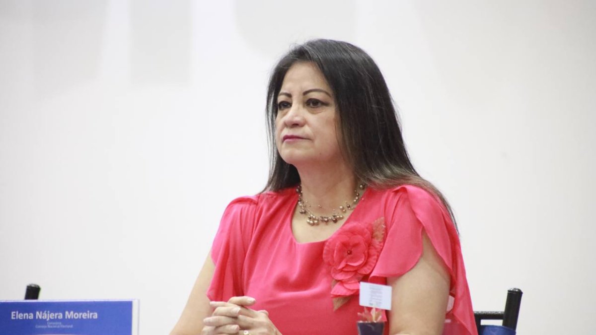 La consejera Elena Nájera solicitó un pronunciamiento oficial del pleno sobre la obligatoriedad de pedir licencia en campaña.