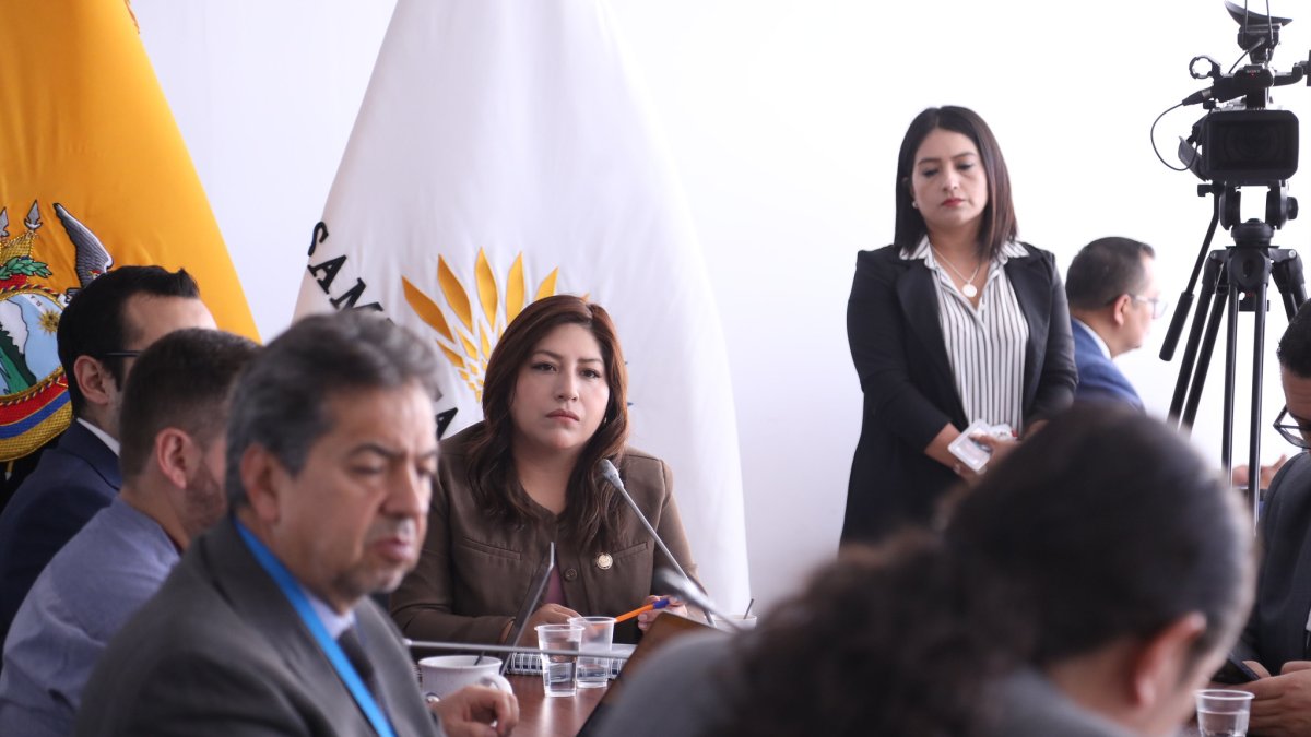 La oficialista Inés Alarcón preside la mesa de Seguirdad.