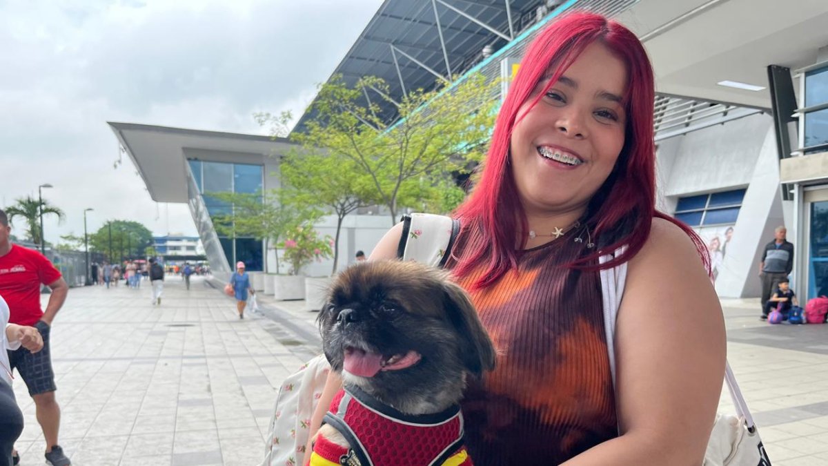 Las personas llevan a sus familiares de cuatro patas a sus viajes.