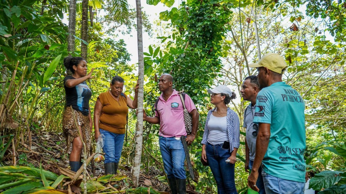 Vista. Caimito es un rincón mágico en el sur de Esmeraldas, donde sus guías cuentan historia y tradiciones.