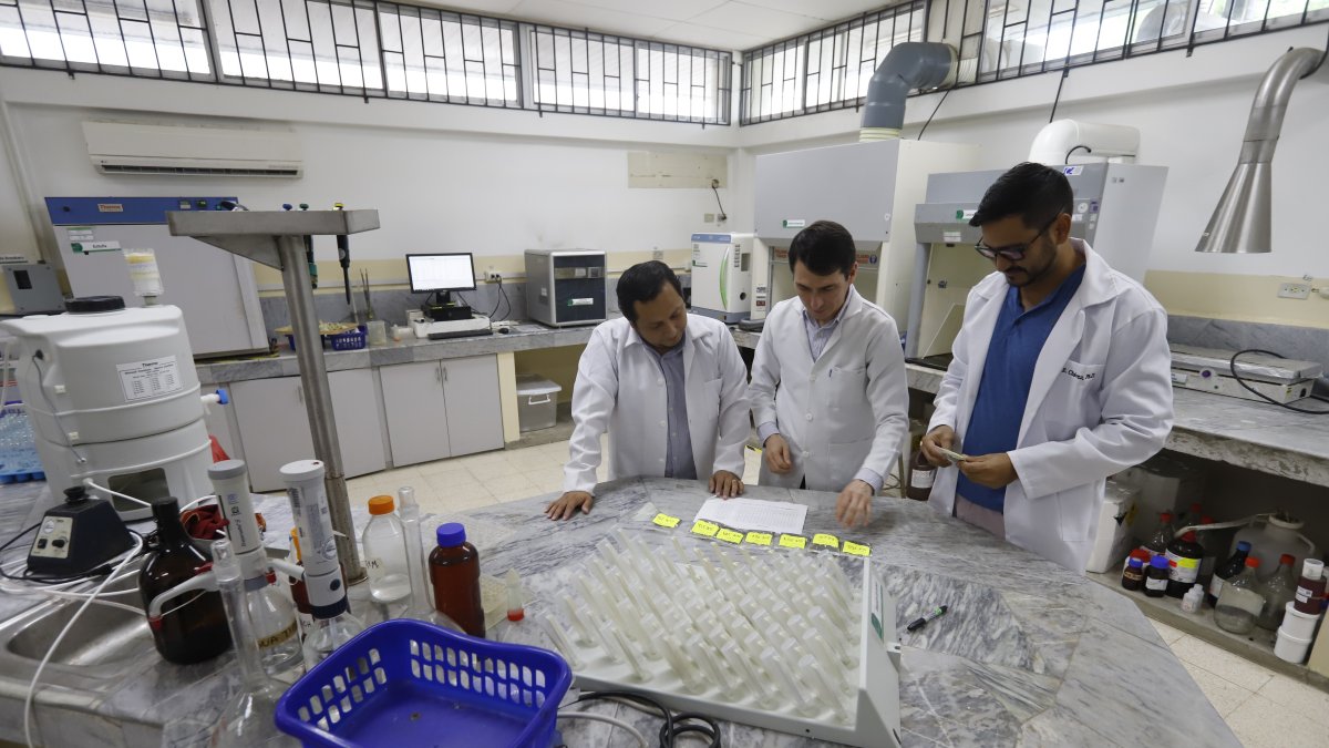 Investigación. Expertos analizan alimentos procesados en un laboratorio de la Espol.