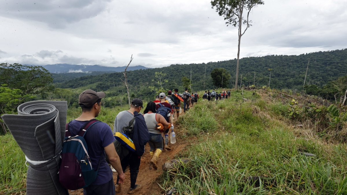Panamá cerró el paso por la selva del Darién.