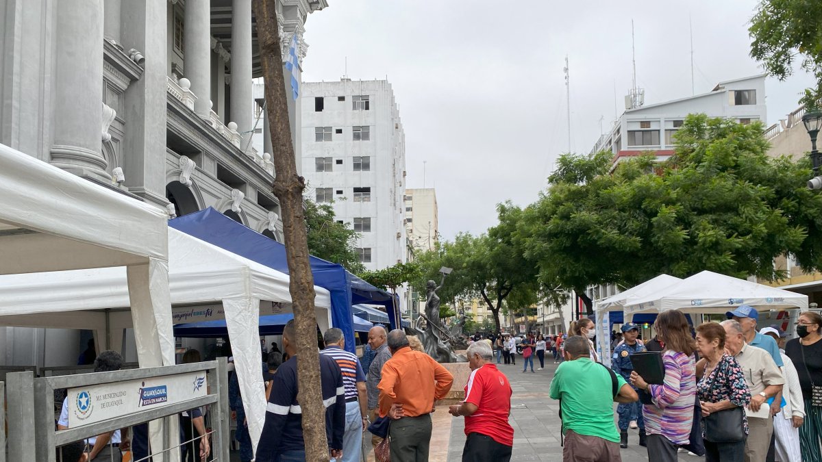 Ventanillas se habilitan el 6 de enero de 2025. 