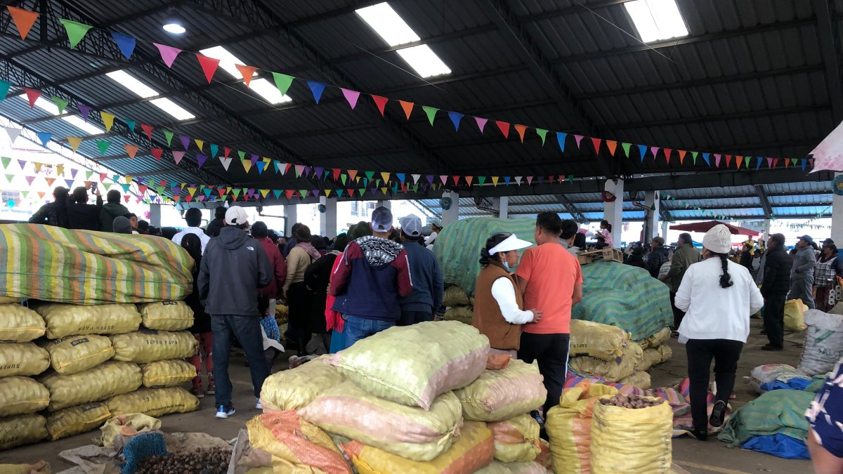Los migrantes extranjeros son empleados en las plazas del cantón Salcedo.