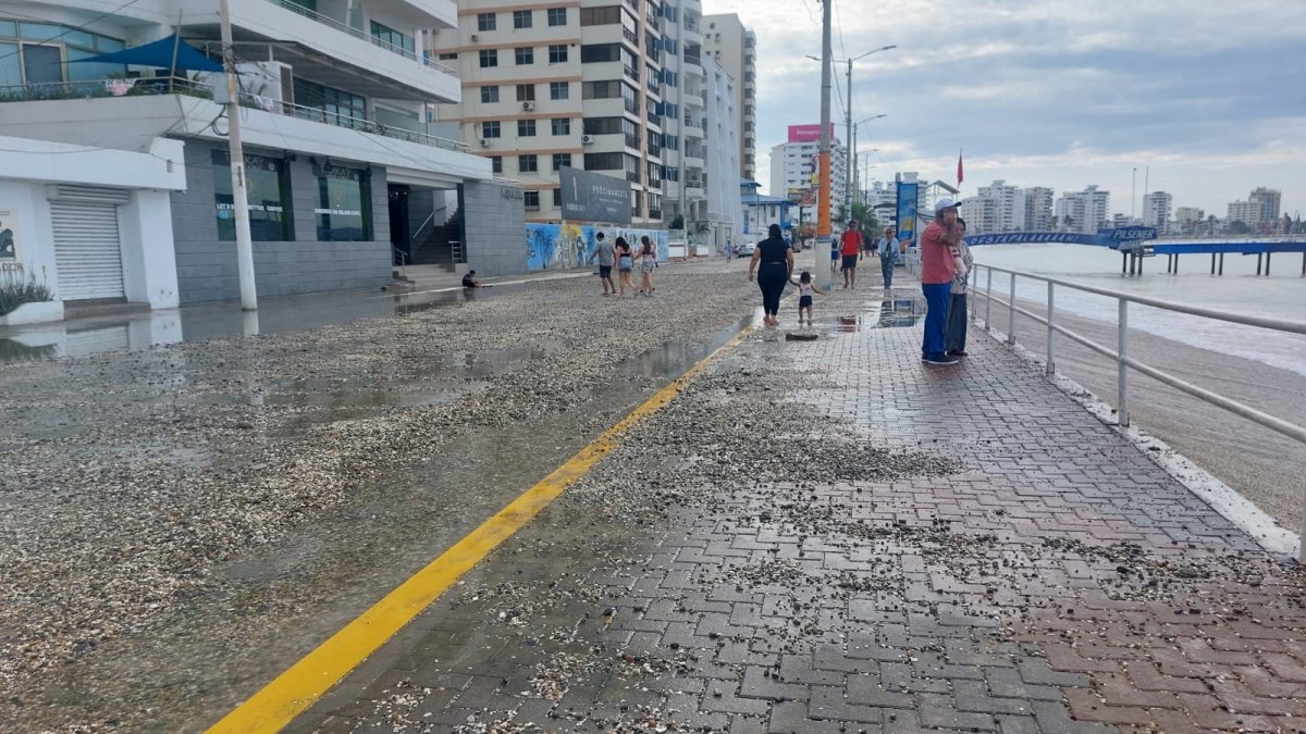 Miles de turistas desafiaron el fuerte oleaje mientras rescatistas intensificaron labores para evitar tragedias en el feriado de fin de año.