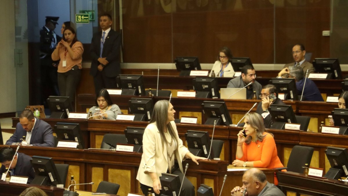 En febrero de este año, los ecuatorianos elegirán el nuevo cuerpo que conformará al Pleno de la Asamblea Nacional.