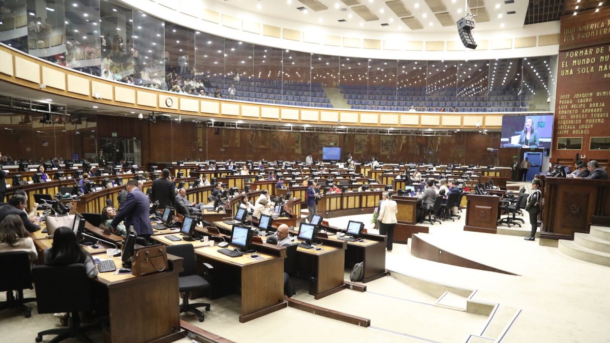 El Pleno de la Asamblea sesionó de forma virtual este 4 de enero de 2025.