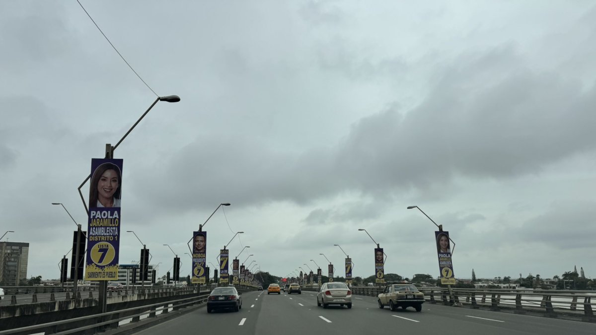 Imagen captada por un ciudadano que circulaba por el puente de la Unidad Nacional.