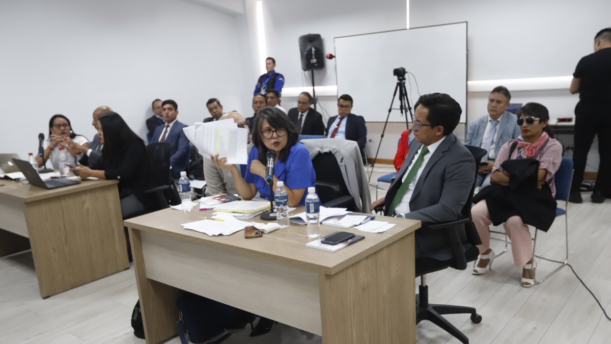 La postulante a la Corte Constitucional, la jurista Angélica Porras.