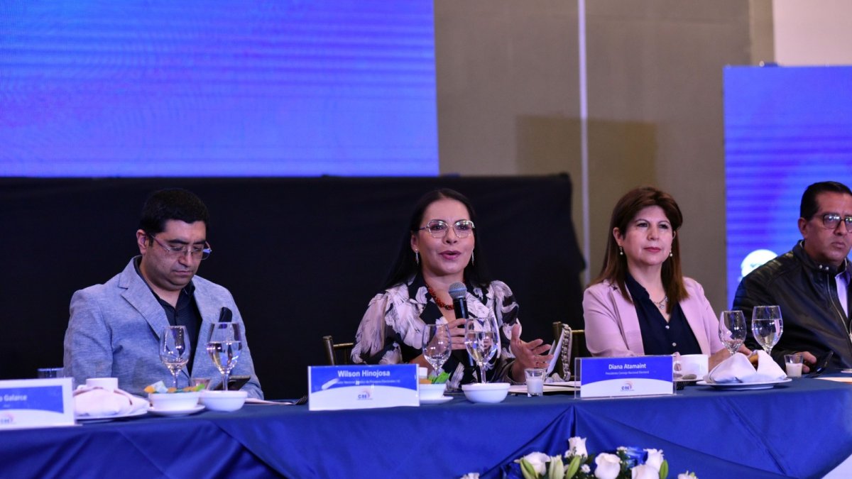 El CNE habló de las infracciones en campaña electoral.