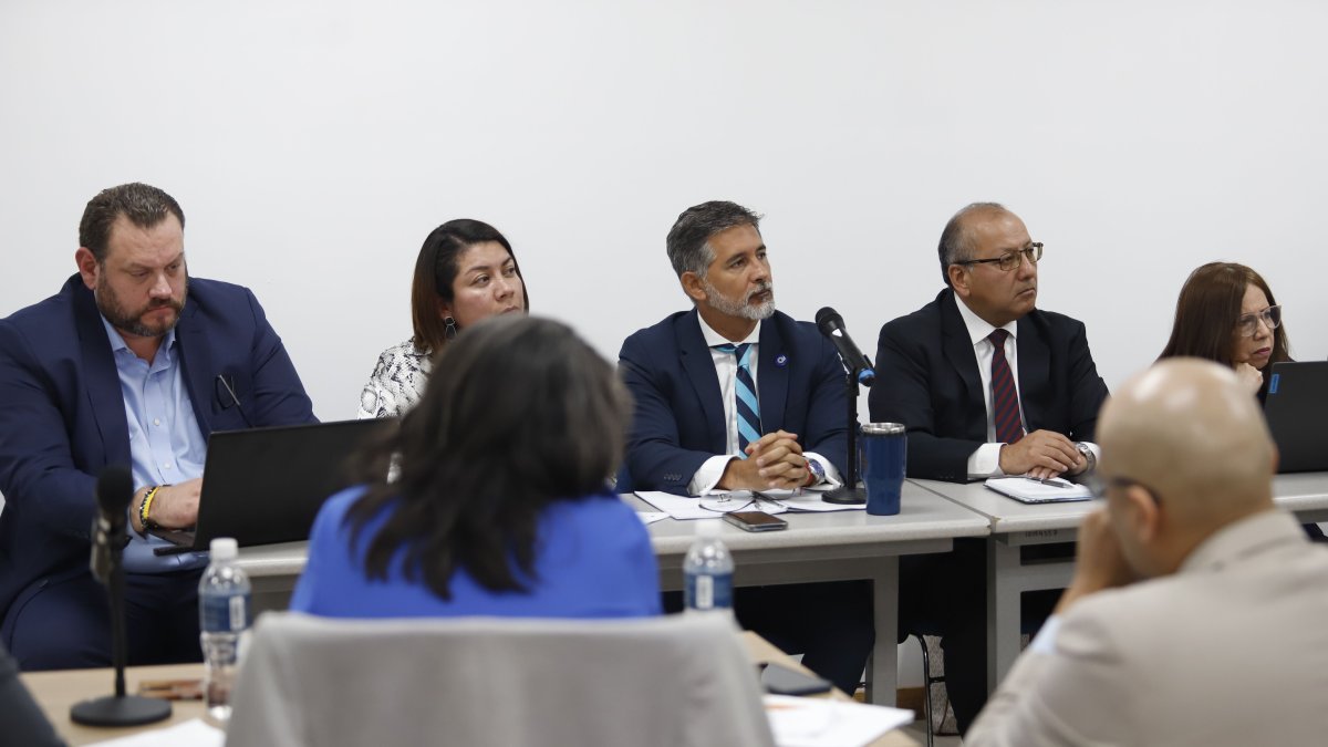 La Comisión Calificadora del proceso de renovación parcial.