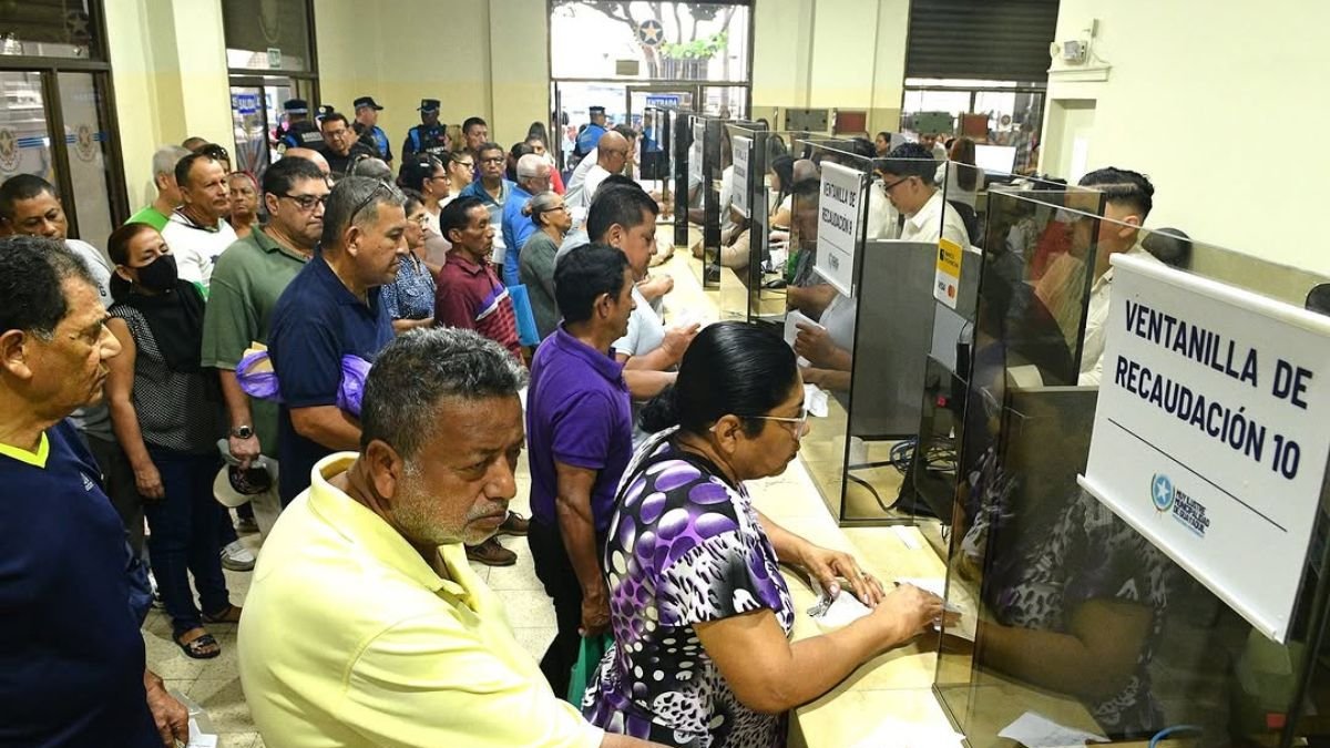 Personas en las ventanillas del Municipio de Guayaquil.