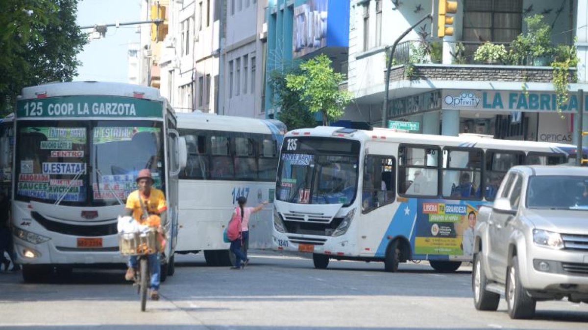 Son varias las líneas que desde inicios de este mes han dejado de circular en la ciudad.