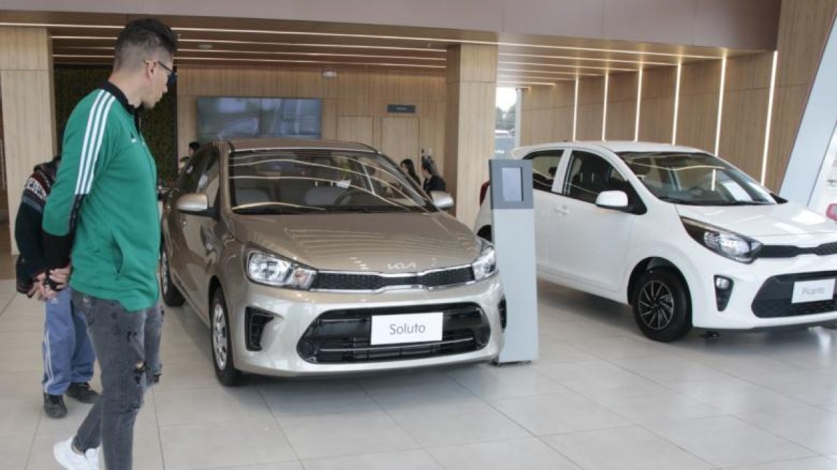 La venta de carro se redujo en 2024 en relación al 2023.