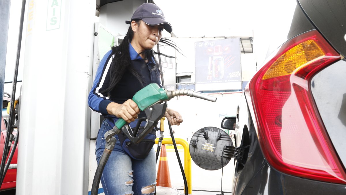 La demanda interna de combustibles supera los  289.000 barriles diarios, según la Camddepe. 