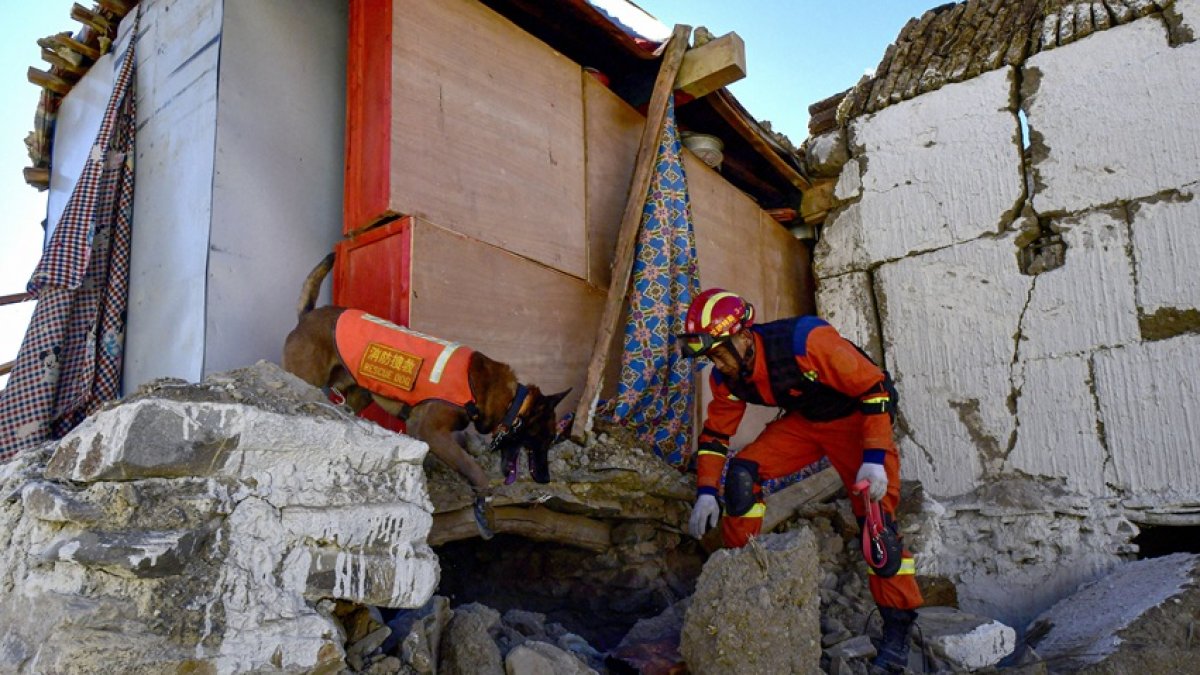 Un rescatista busca sobrevivientes en una casa con un perro de rescate después de un terremoto en el municipio de Cuoguo en Shigatse, región del Tíbet, suroeste de China, el 8 de enero de 2025.