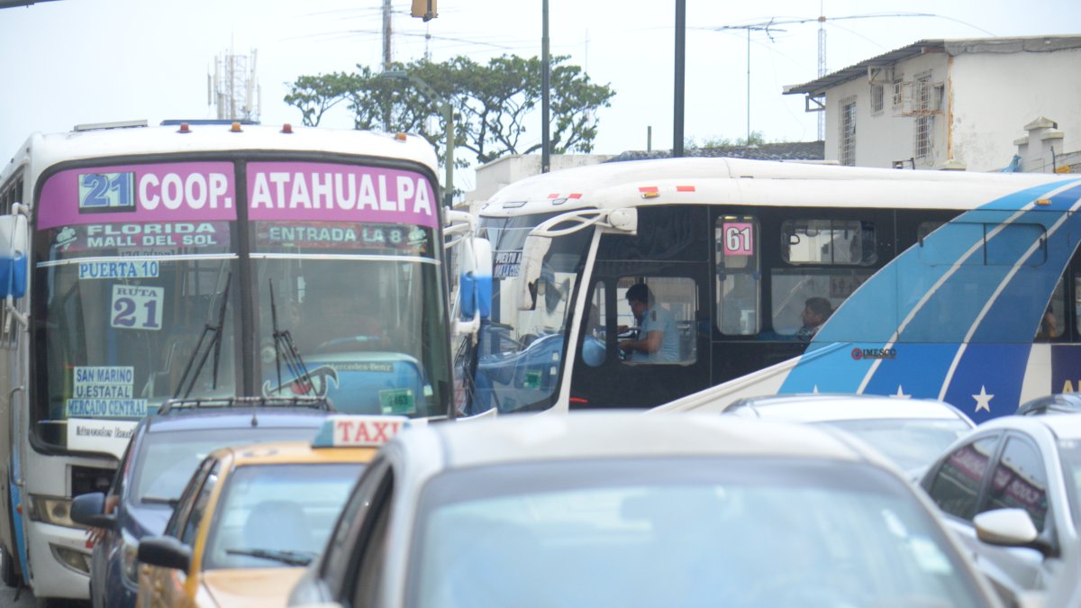 Miles de personas se movilizan a diario en los buses de transporte urbano.