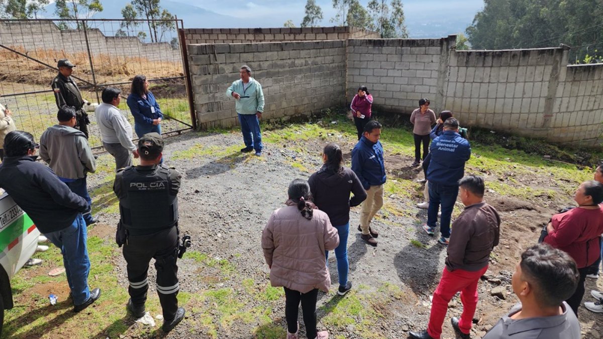 Los vecinos refirieron que el perro que atacó a la mujer era agresivo y solía estar suelto en esa zona de Conocoto.
