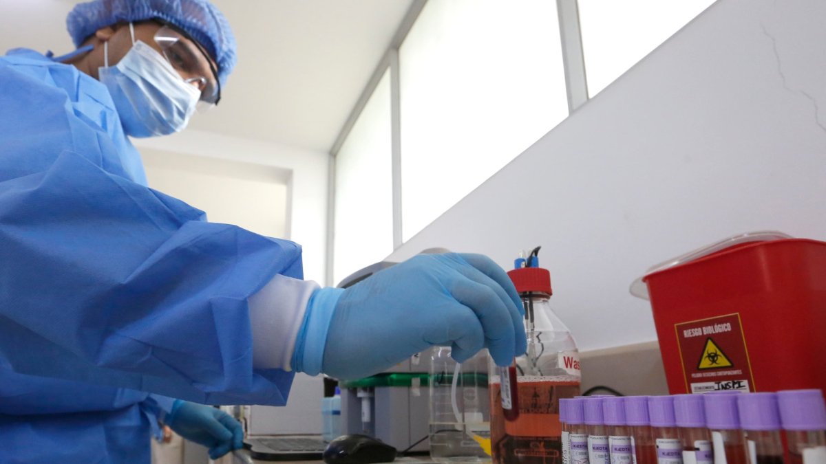 El laboratorio estaría listo en unos seis meses.