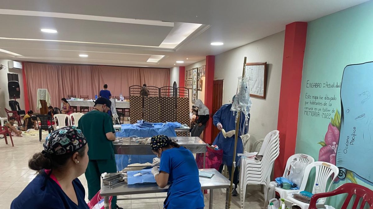 A través de alianzas estratégicas, se promueven prácticas sostenibles.