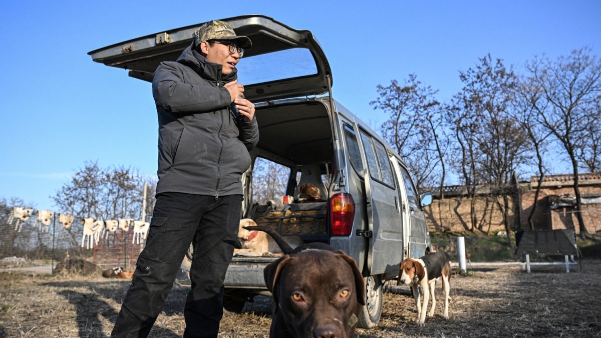 En esta foto tomada el 14 de diciembre de 2024, se ve al cazador Li Shangxue y perros de caza dentro de una perrera en Weinan, en la provincia de Shaanxi, en el norte de China.