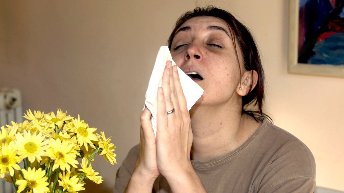 Un simulador de estornudos revela el papel de la cavidad nasal en la difusión de aerosoles.