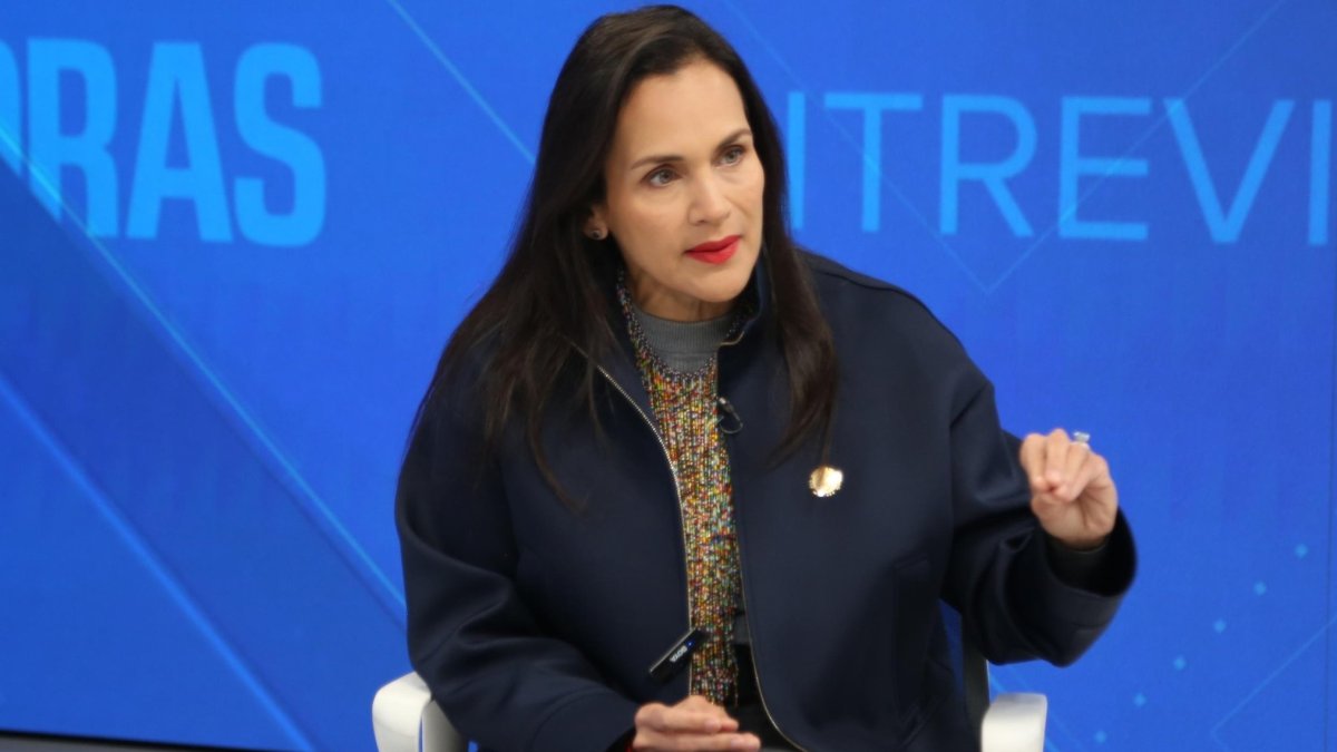 La ministra de Energía (encargada), Inés Manzano, en entrevista este 10 de enero de 2025.