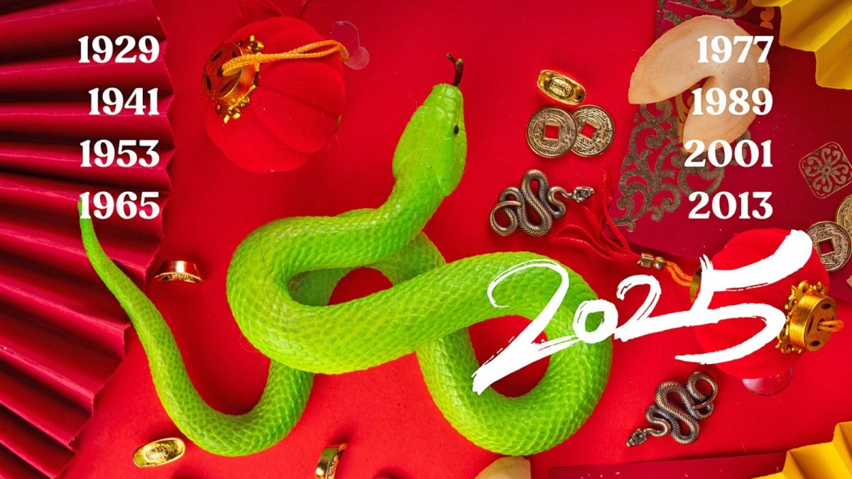 La serpiente de madera.