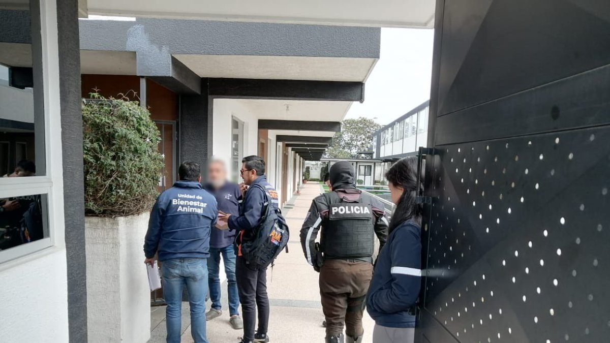 La agresión al animal de compañía ocurrió en un conjunto residencial del norte de Quito.