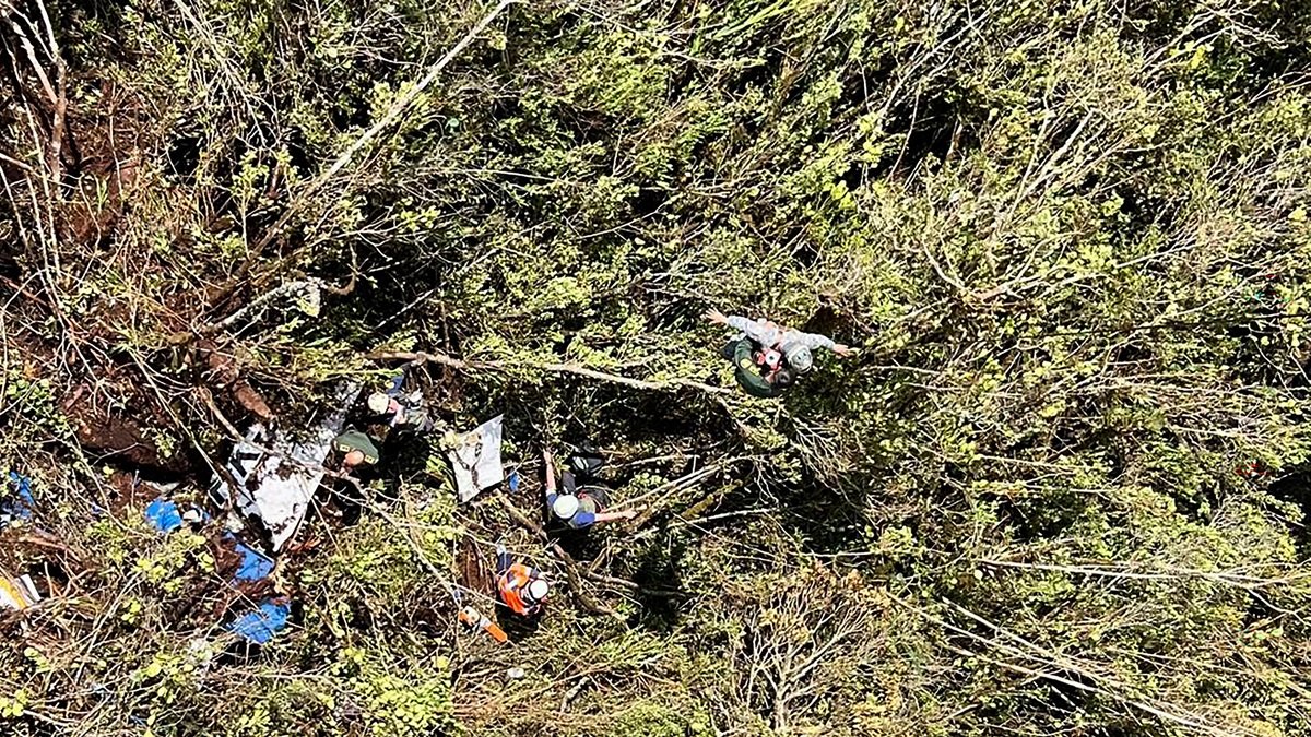 Miembros de la Fuerza Aérea junto a los escombros de un avión que se estrelló en una zona rural de Urrao, provincia de Antioquia, Colombia, el 10 de enero de 2025.