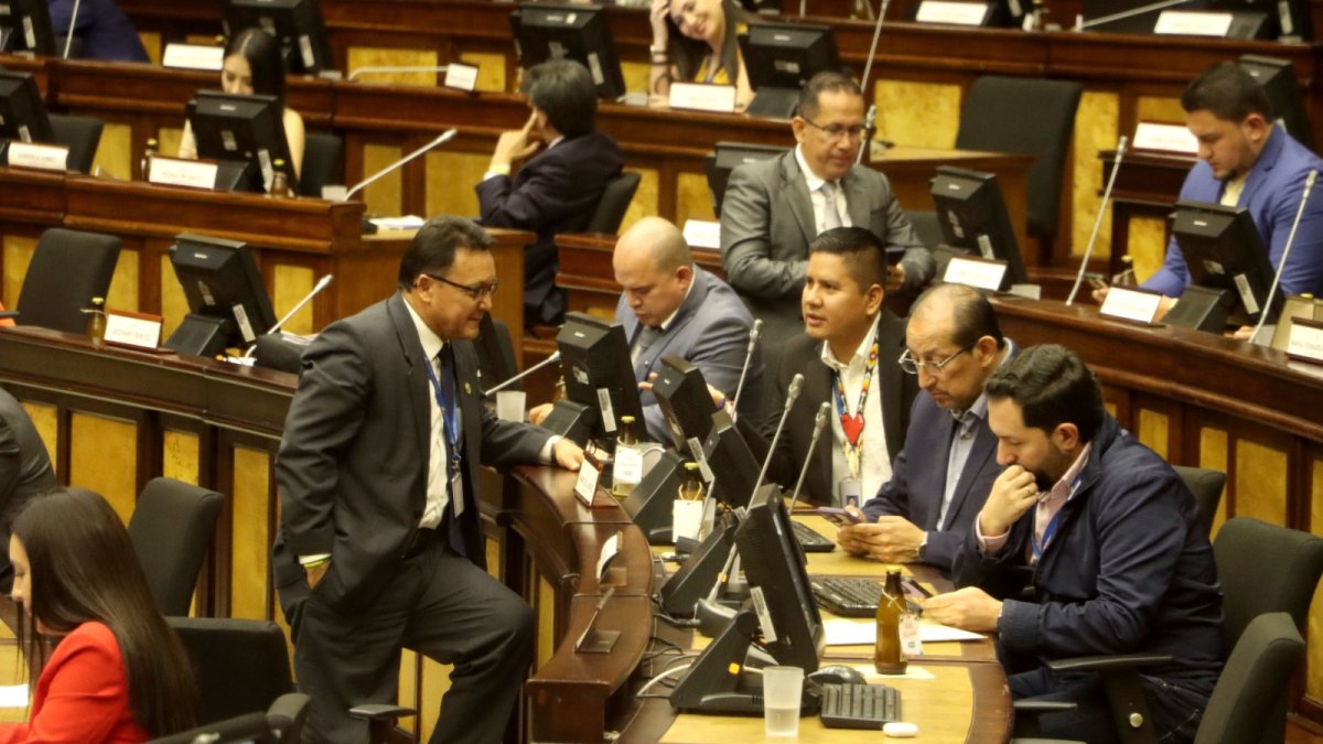Los electores ecuatorianos elegirán a 151 políticos que conformarán el Pleno de la Asamblea. Hasta el periodo vigente, este constaba de 137 legisladores.