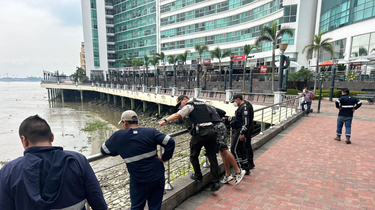 Trabajadores del sector alertaron a la Policía Nacional del hallazgo