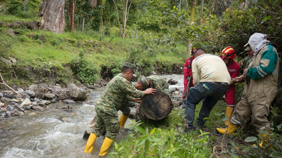 Labor. Militares también participan de la limpieza.