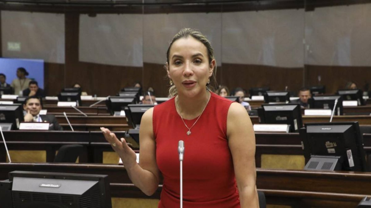 La legisladora de ADN, Yadira Bayas fue secuestrada este 13 de de enero y fue encontrada en el mismo día.