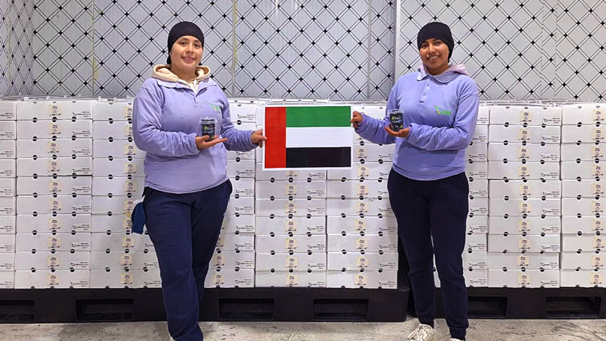 Según Nobis Fruit Company, el acceso a nuevos mercados ha generado un incremento significativo en las oportunidades laborales, especialmente para mujeres,