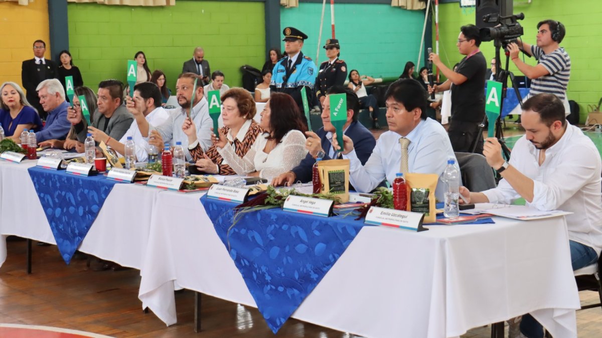 El Concejo Metropolitano aprobó el proyecto de libre circulación de los taxis convencionales en el Distrito Metropolitano de Quito