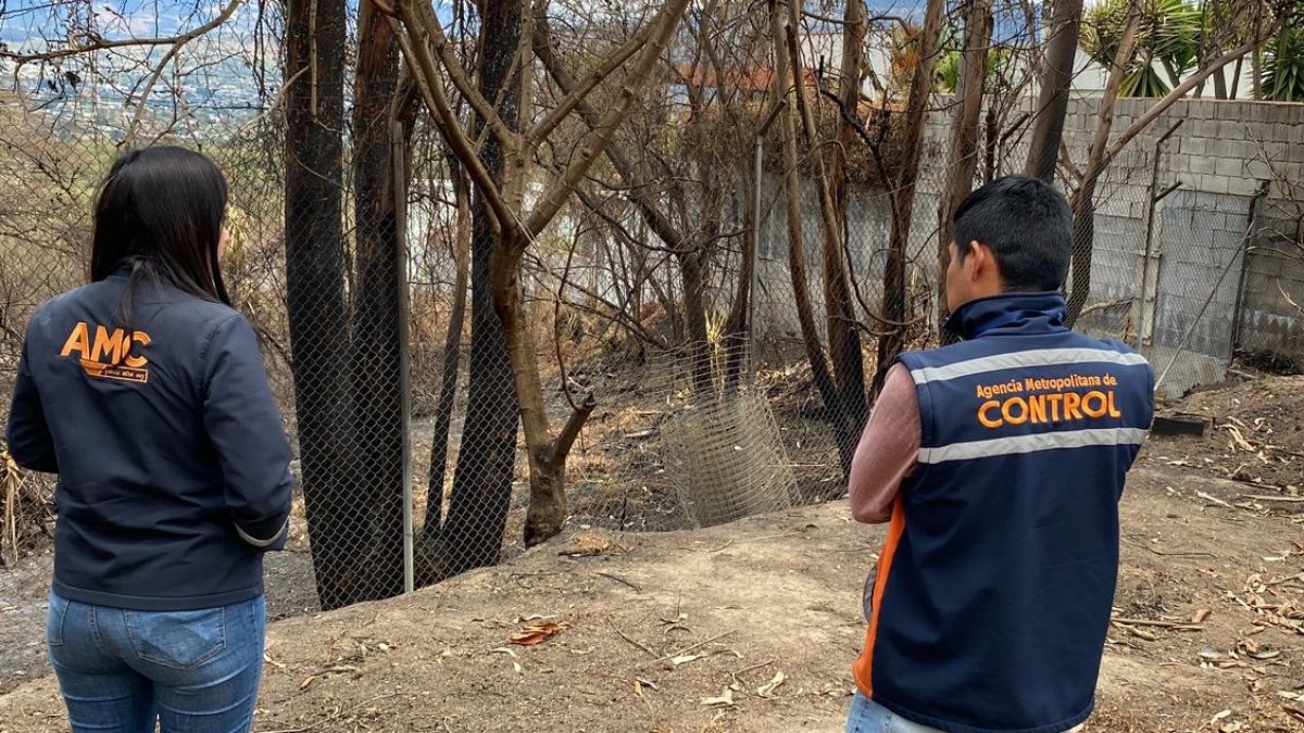 Imagen referencial. Funcionarios de la AMC inspeccionaron el predio, tras una denuncia de los moradores