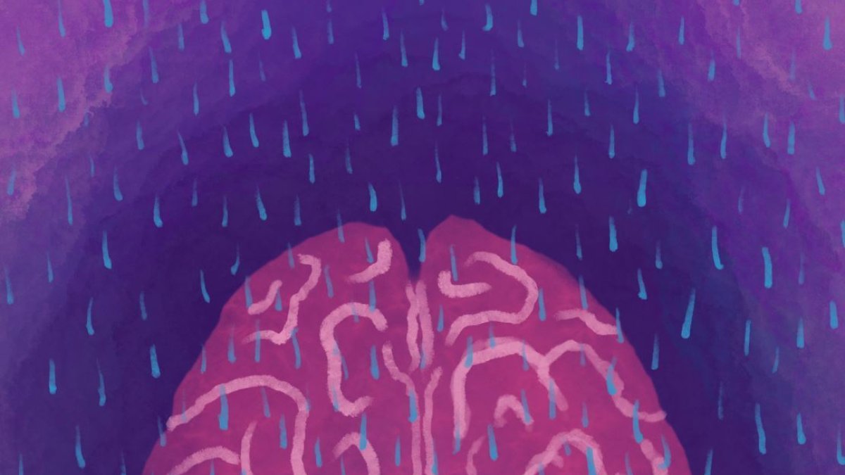 Imagen cedida. La vasomoción lenta mediada por la noradrenalina impulsa el aclaramiento glinfático durante el sueño.