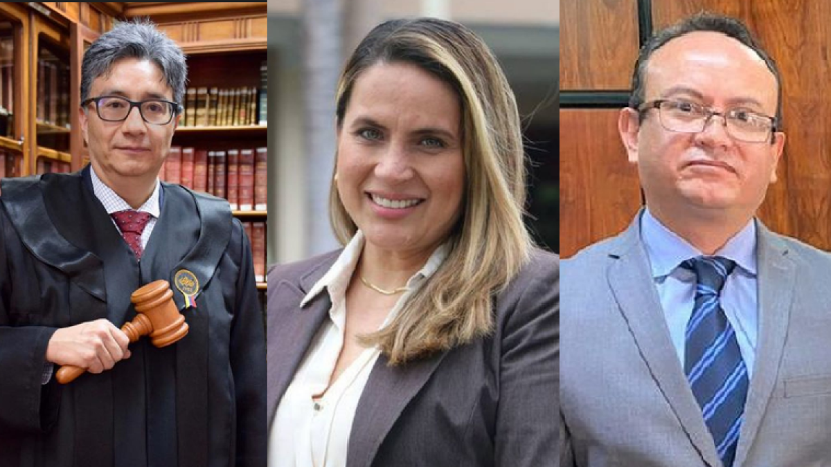 Marco Rodríguez Ruiz, Alexandra Villacís Parada y Edison Toro Calderón son integrantes de la terna para la Corte Nacional