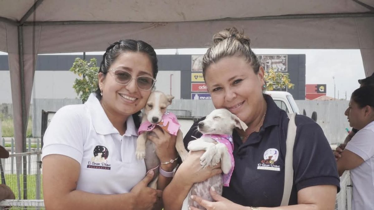 Existen proyectos en marcha de esterilización  y educación para ciudadanos.