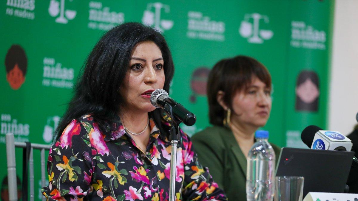 La subdirectora de programas en Ecuador de Planned Parenthood Global, Paulina Ponce, habla en una rueda de prensa este miércoles 22 de enero en Quito.