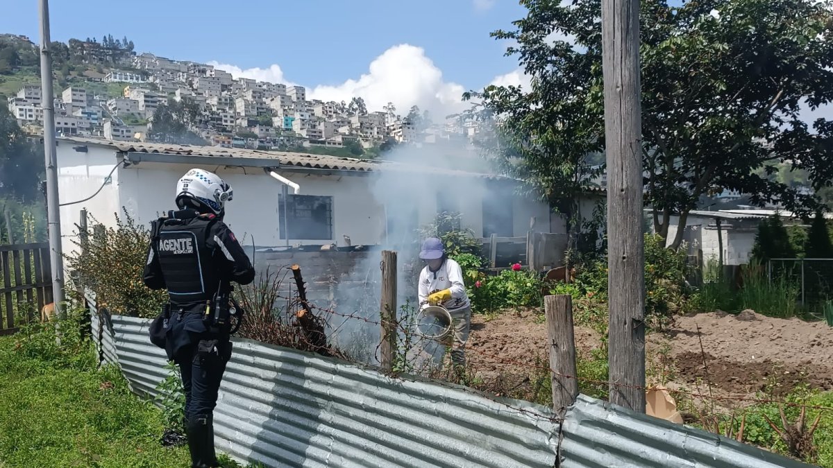 Los agentes realizan patrullajes y, cuando observan las quemas, obligan a apagar las llamas.