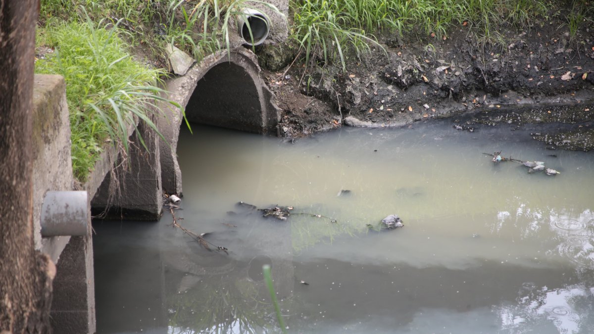 Así permanece actualmente el canal de aguas lluvias que divide a Urbanor 1 con la Alborada. Las aguas son grises y espesas.