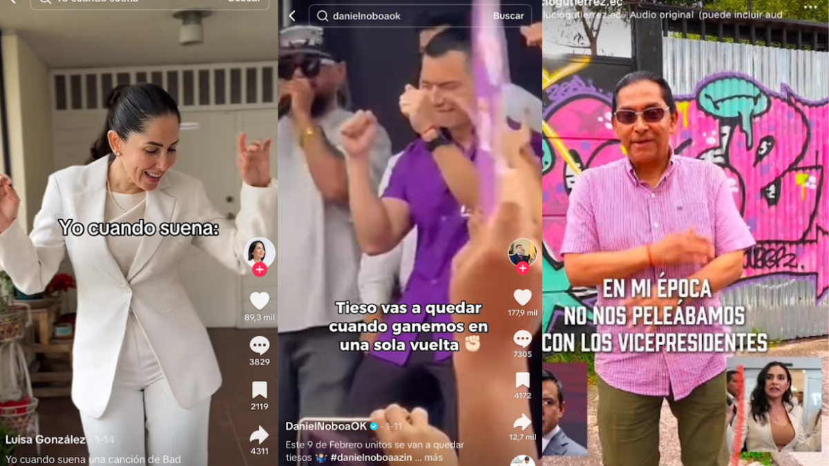 Captura de pantalla de videos compartidos en redes sociales de candidatos, en este 2025.