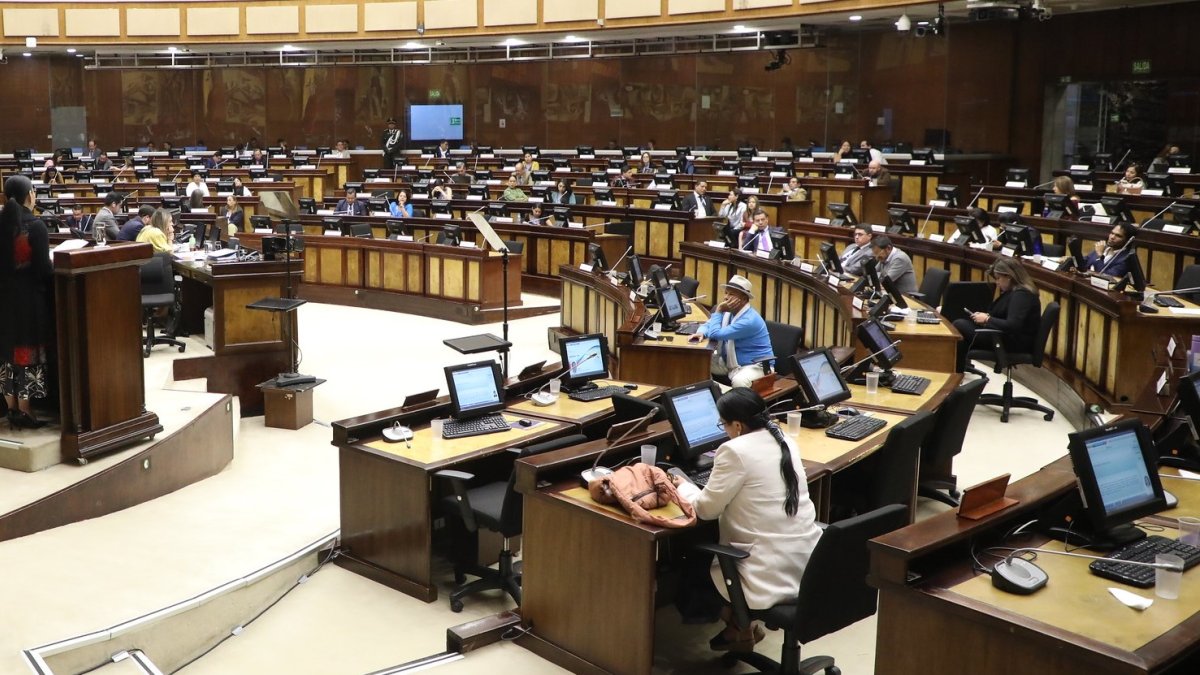 La Asamblea Nacional sesionará de forma virtual el 26 de enero par tratar el proyecto urgente de Daniel Noboa, enfocado en las mujeres emprendedoras..