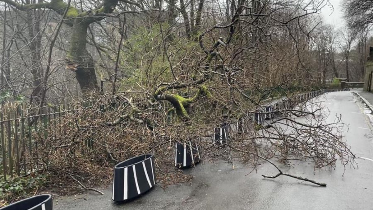 La borrasca Éowyn ha dejado en Escocia 100.000 hogares sin electricidad, el 92 % de las escuelas cerradas y múltiples servicios médicos no urgentes cancelados.