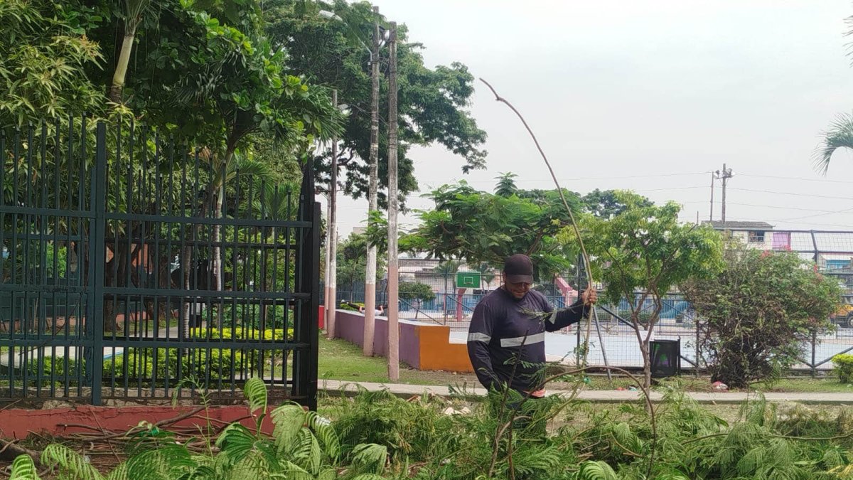 En el Parque Puerto Liza han empezado a retirar la maleza que, en algunos casos, superaba el metro y medio de altura.