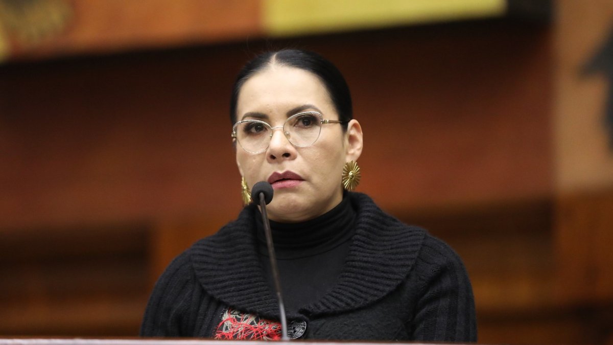 La jueza del TCE conminó a que el CNE ejerza las acciones que crea oportunas, según lo dispuesto en el Código de la Democracia.