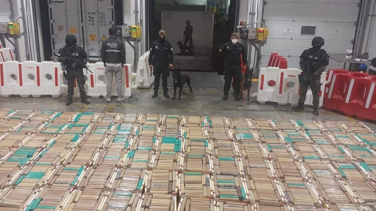 Más de 2 toneladas de droga fueron halladas en una carga de piñas en Posorja.