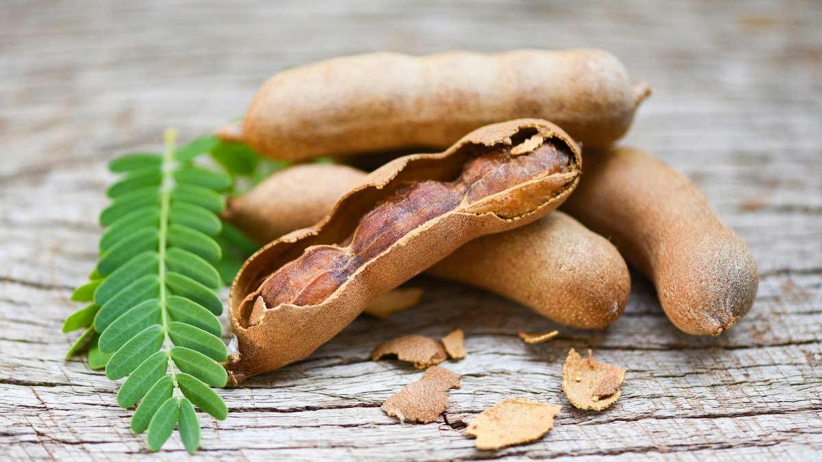 Descubre los beneficios del tamarindo en tu salud.